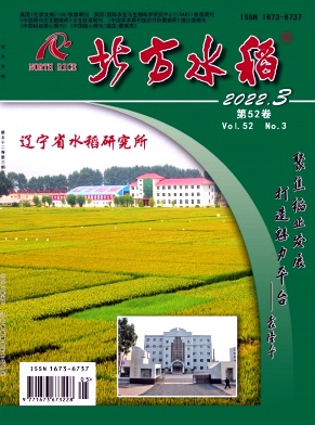 北方水稻 北方水稻